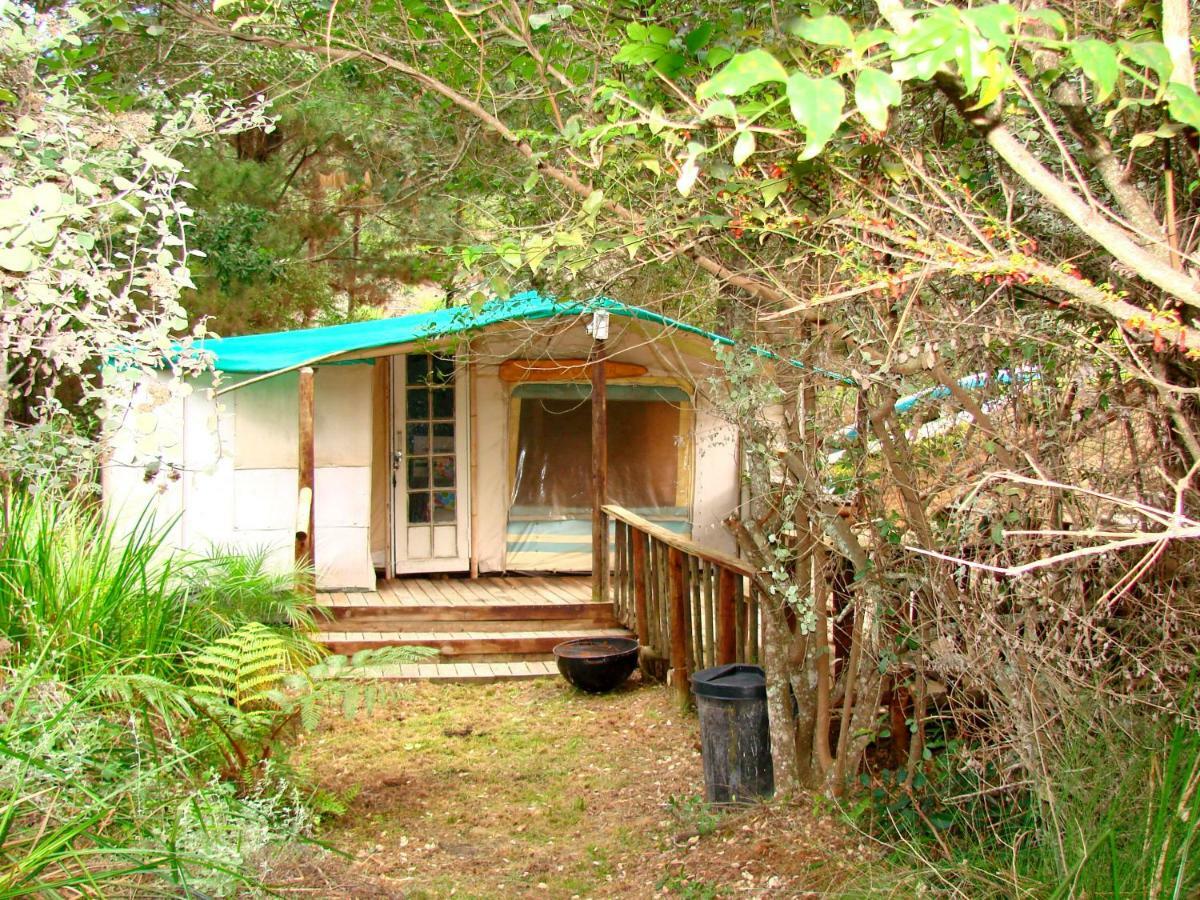 Hotel Hindthausen Knysna Esterno foto